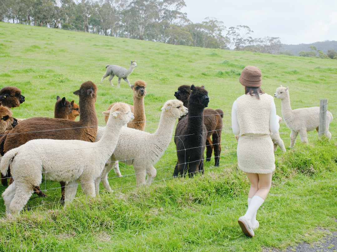 Softfoot Farm & Wildlife Park-Hindmarsh Valley必去景点
