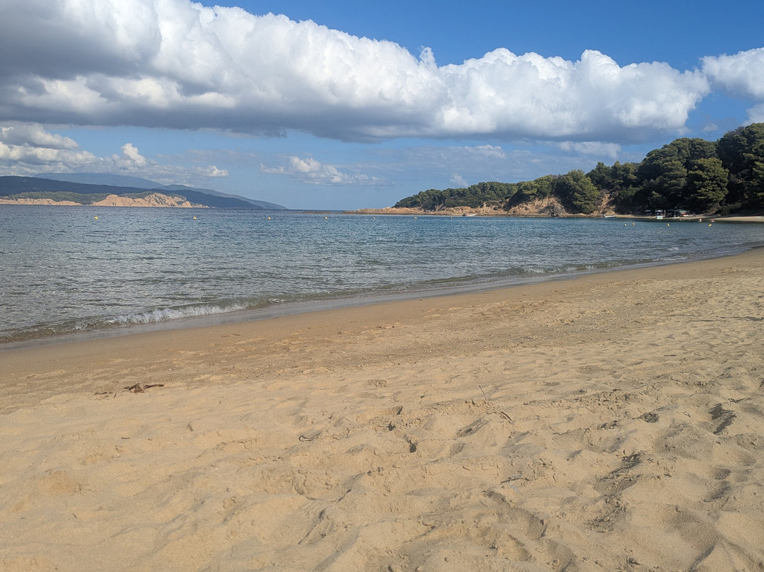 Banana Beach-斯亚索斯必去景点