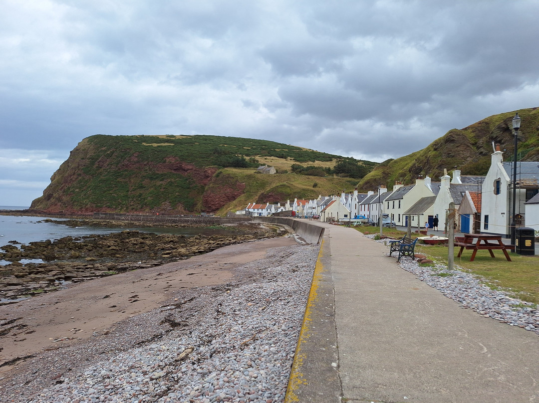 Pennan Harbour