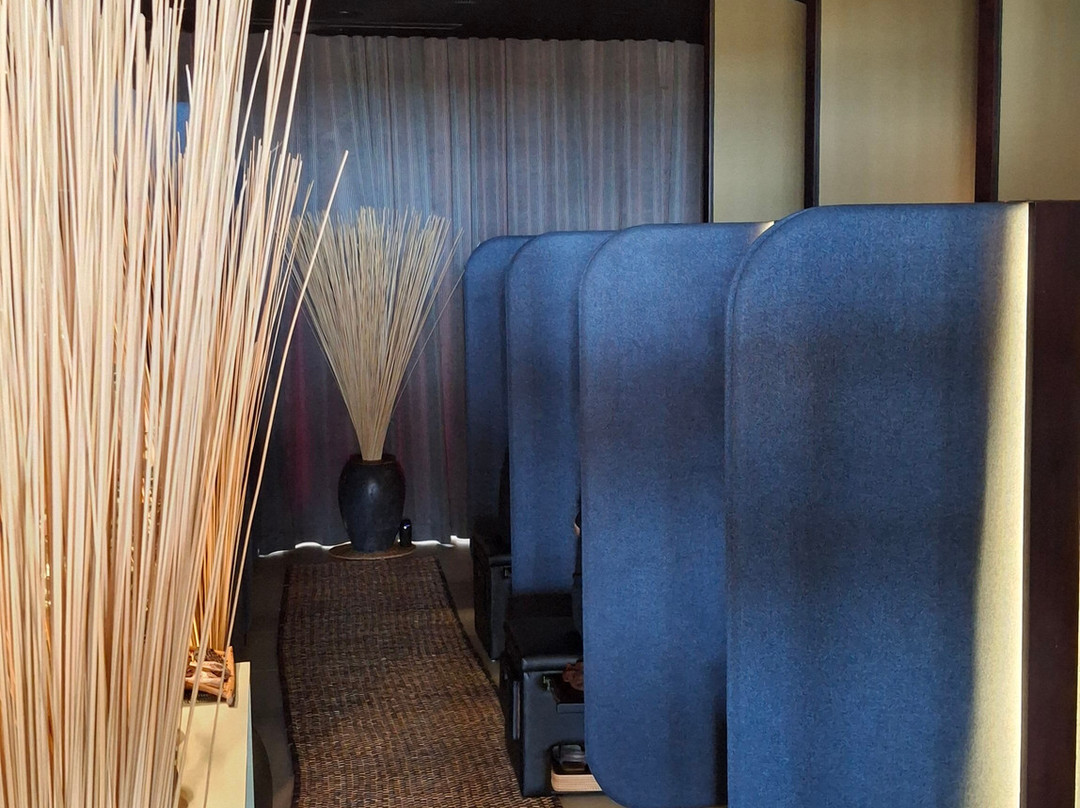 Bodia Spa (Techo International Airport)