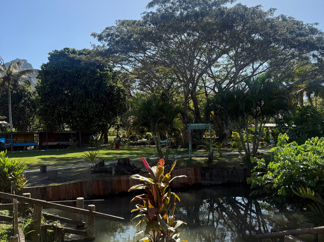 萨贝托泥浆温泉-纳迪市必去景点