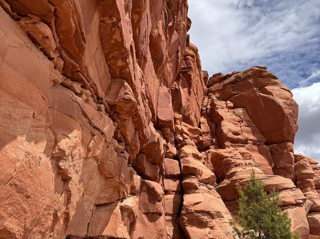 Zuni Visitor Center-Zuni必去景点
