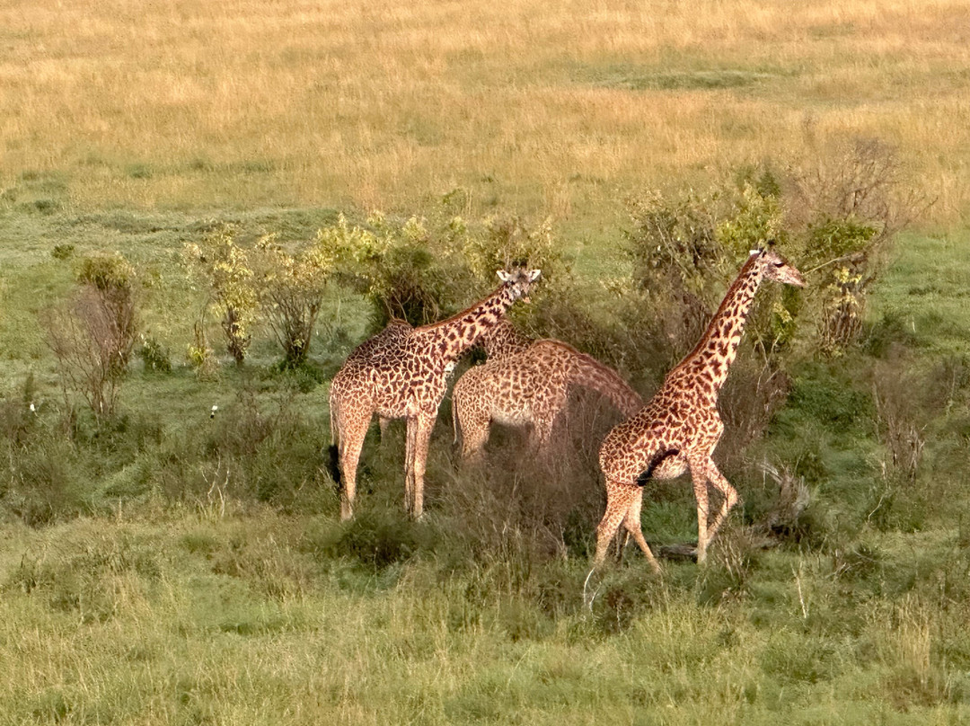 Adventure Out Loud-Kandanga必去景点