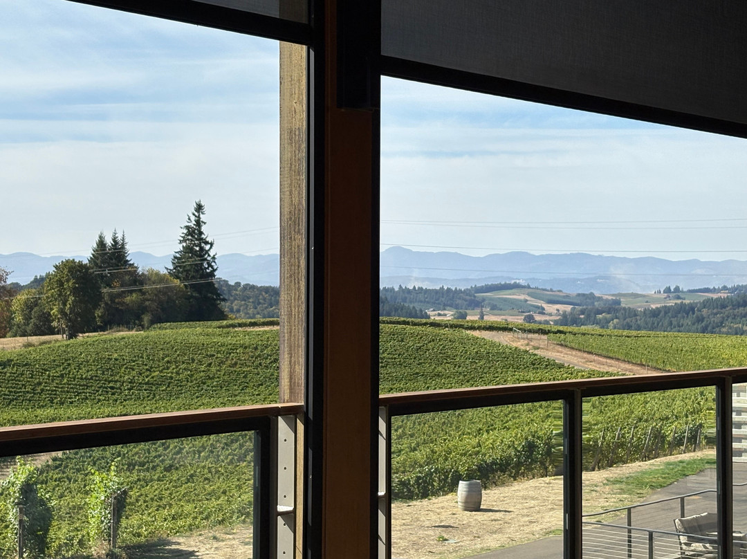 Alexana Winery-纽伯格必去景点