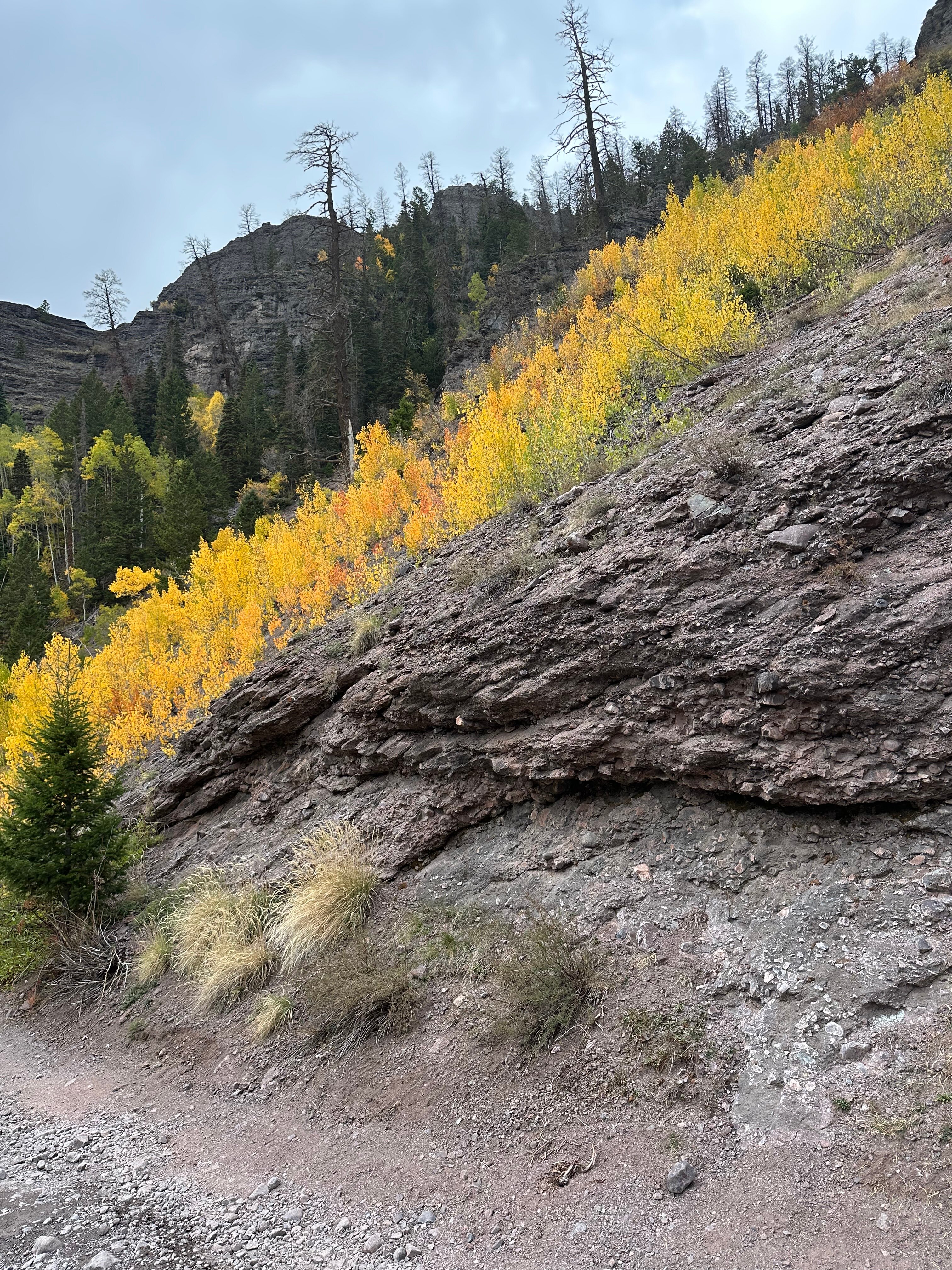 The Inn at Lost Creek-官方