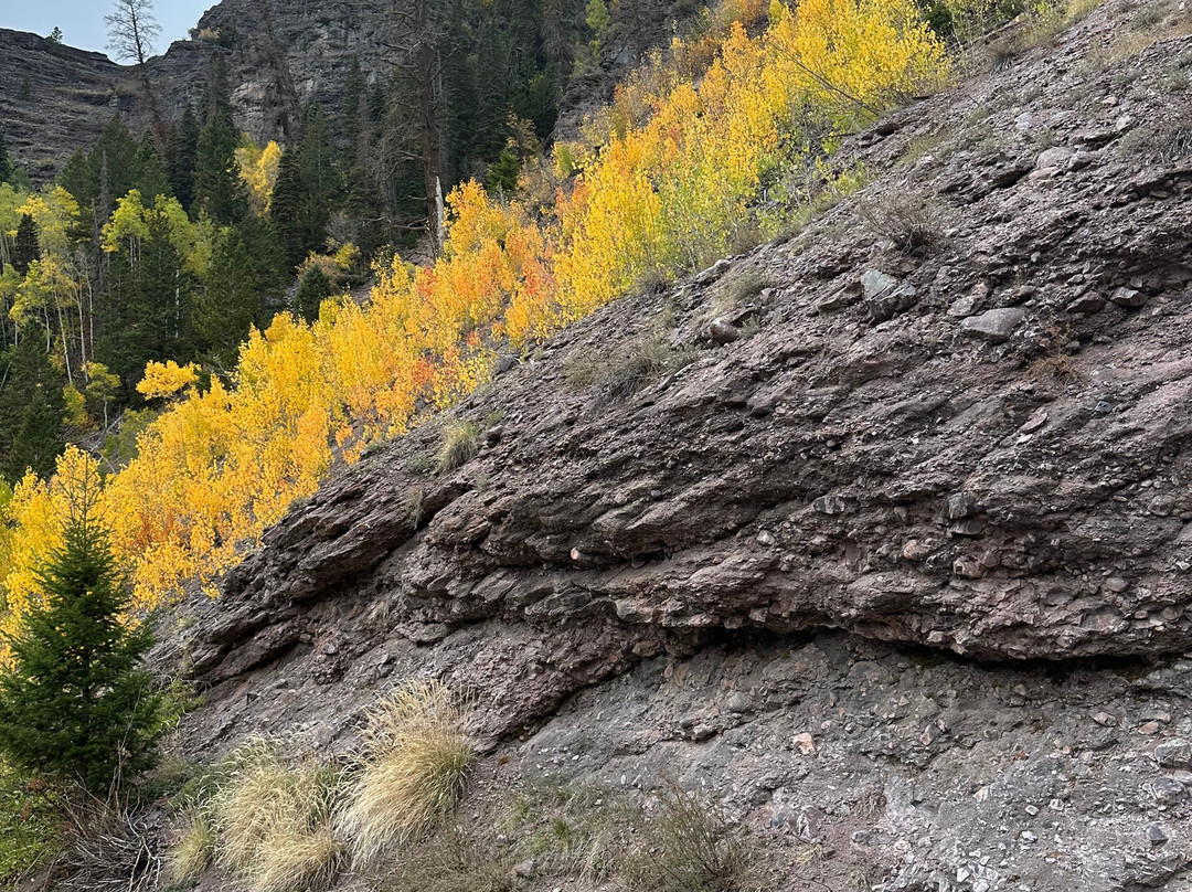 The Inn at Lost Creek主图