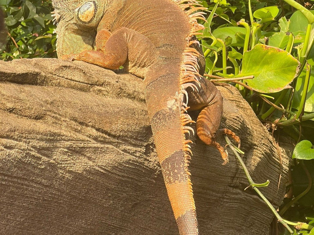 Zoo Leipzig-莱比锡必去景点