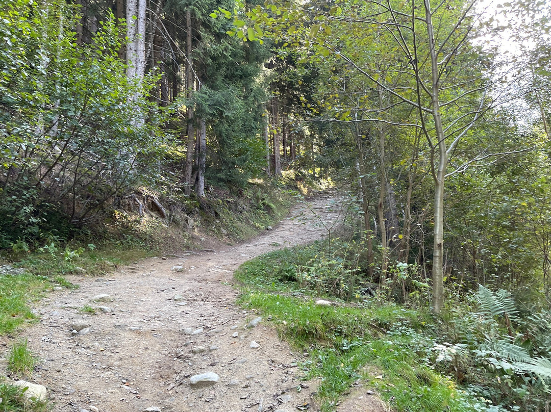 Cascade Du Dard-La Giettaz必去景点