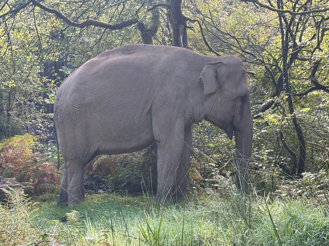 Skanda Vale-Llanpumsaint必去景点
