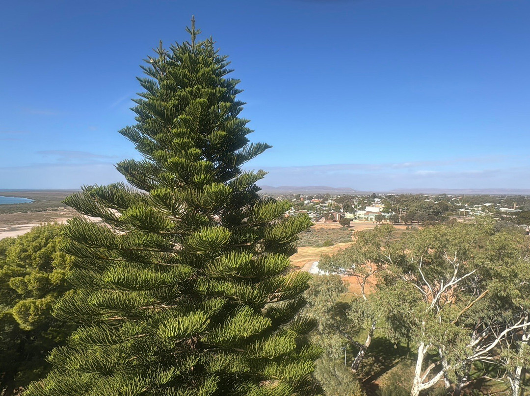 Water Tower Lookout-Port Augusta必去景点