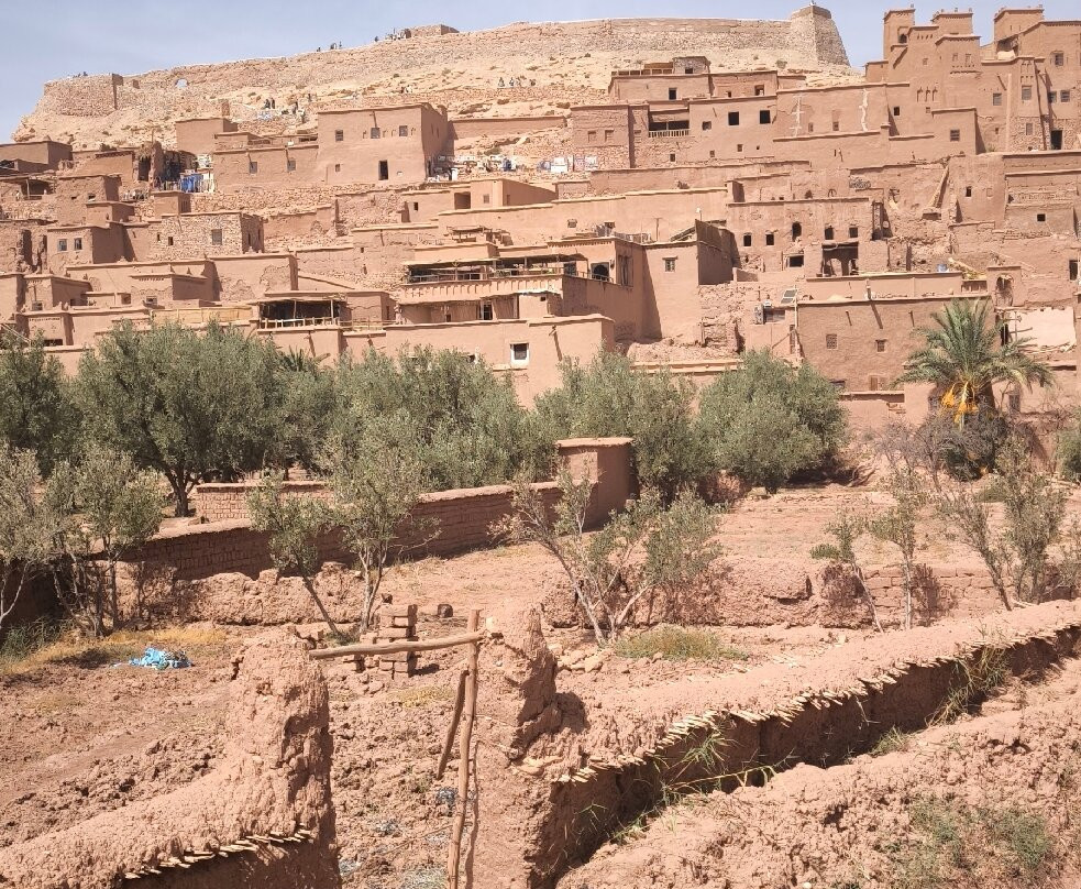 Moroccan Mahi Trip-马拉喀什必去景点