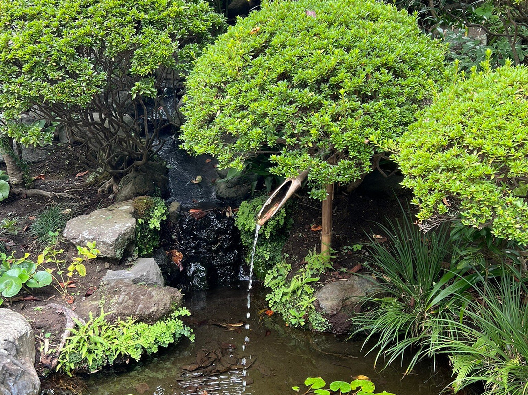 Hokoku-ji Temple Bamboo Grove-镰仓市必去景点