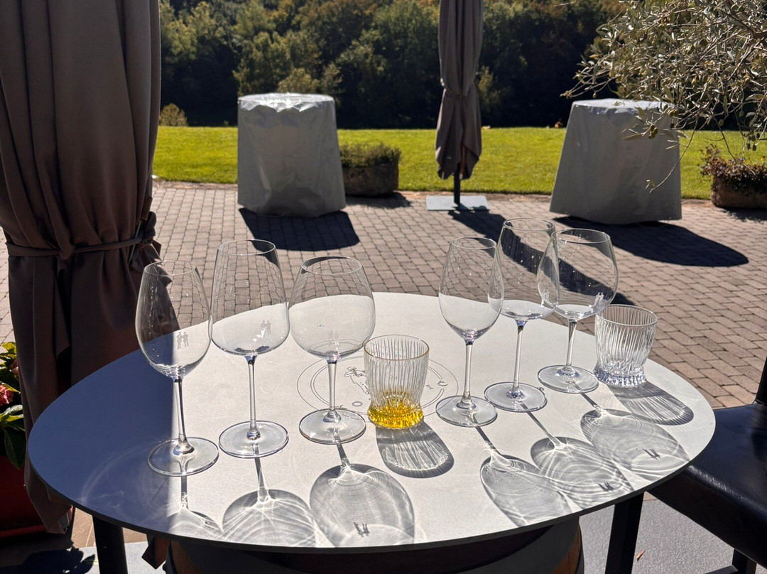 Kozlovic Winery-Momjan必去景点