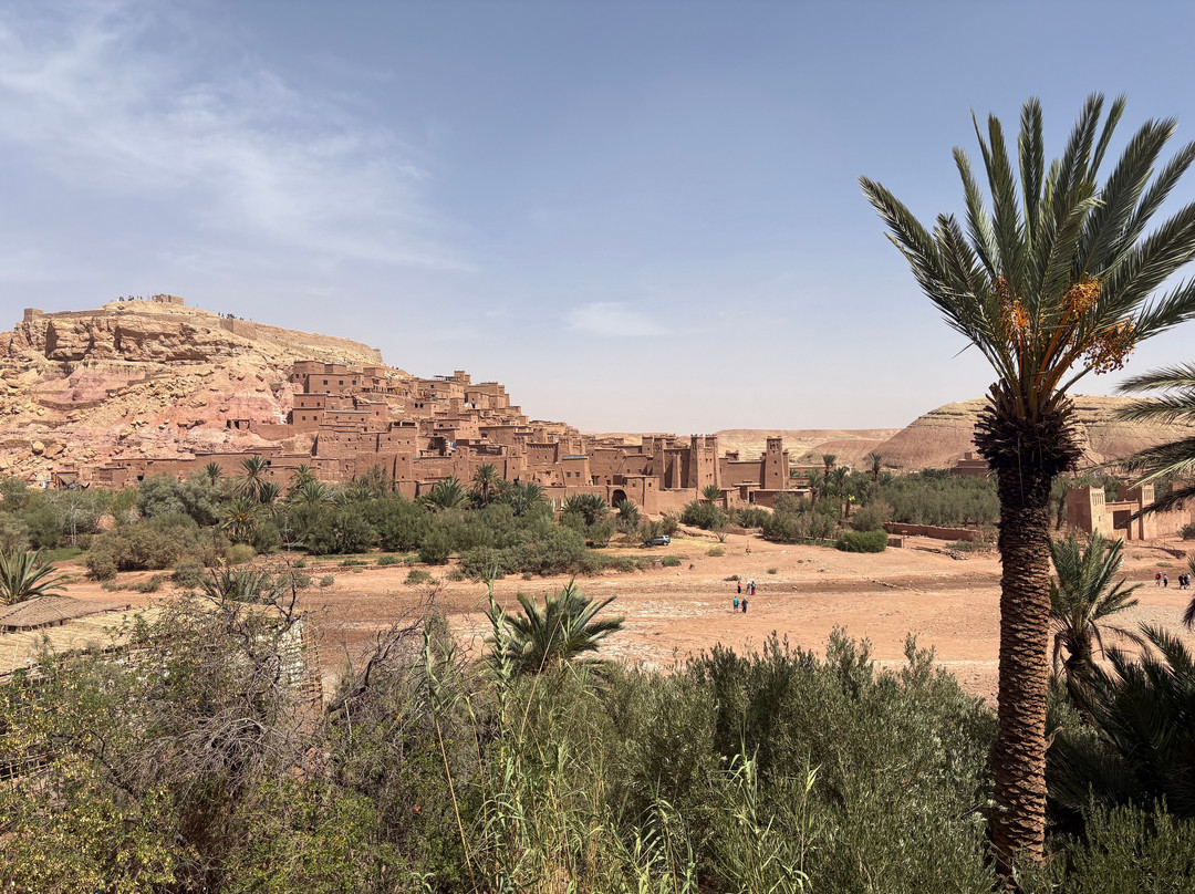 Private Desert Tours-迈哈米德必去景点