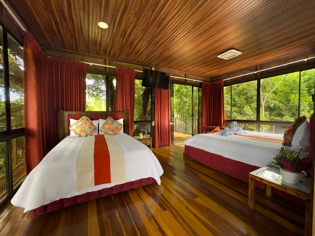 Heliconias Nature Inn & Hot Springs主图