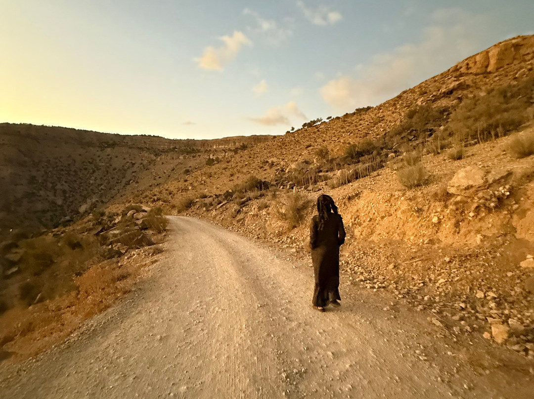 Bedouin Journeys Adventure-Dana必去景点