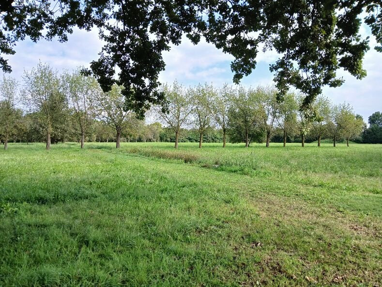Parco di Villa Annoni-Cuggiono必去景点