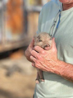 Bella Acres Farm And Animal Sanctuary-Walden必去景点