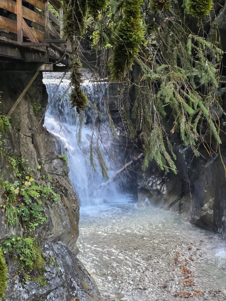 Pension St. Georg-官方