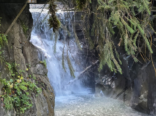 Pension St. Georg主图