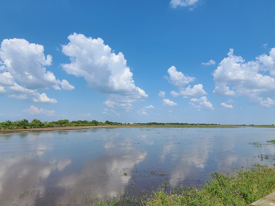 Jocelyn Nungaray National Wildlife Refuge-Anahuac必去景点