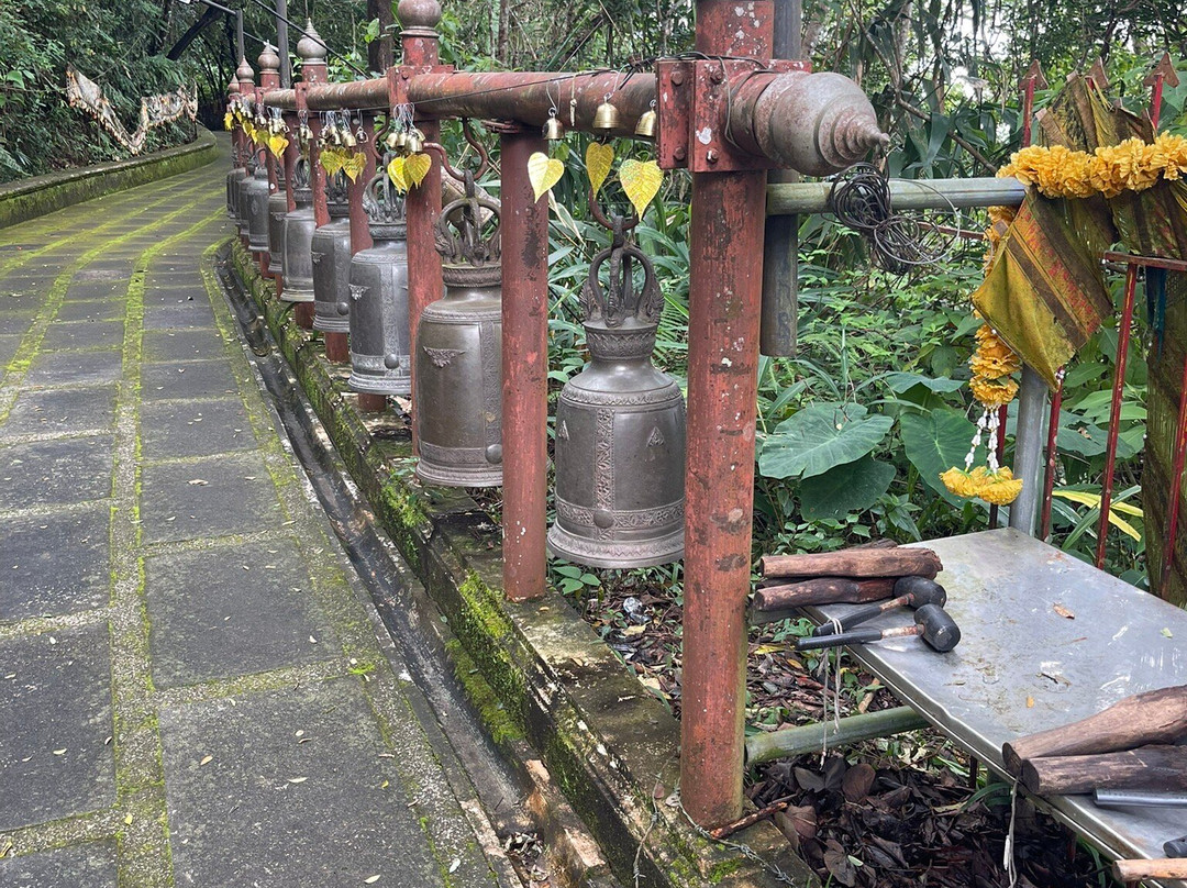 Wat Phra That Doi Tung-夜发銮必去景点