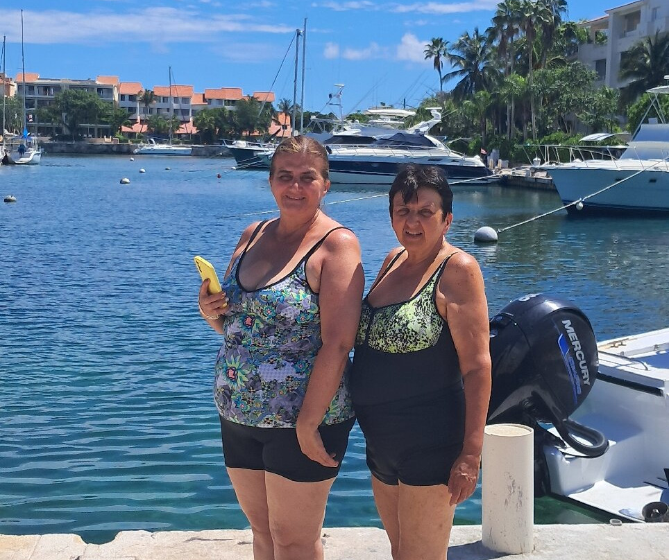 海豚发现秀-阿范特拉斯港必去景点