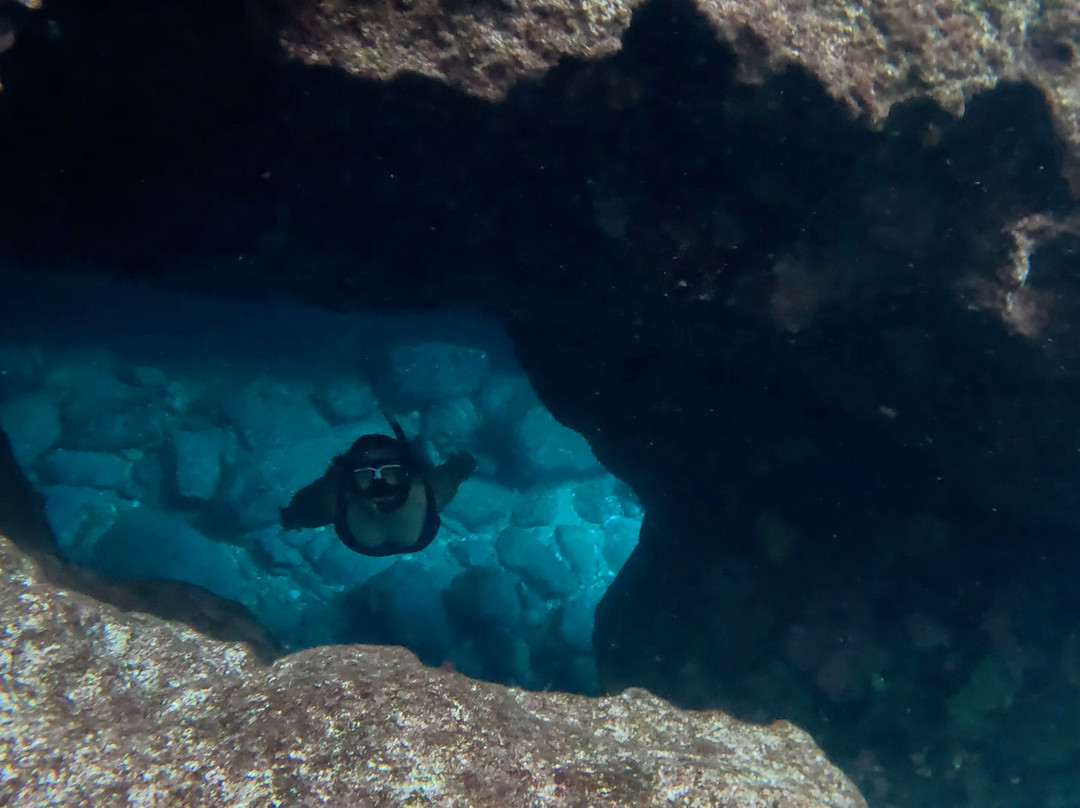 Meltemi Boat Tours, Watersports & Diving-Milopotas必去景点