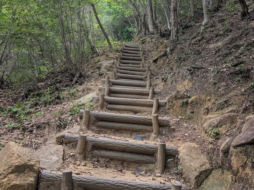 Takeda Castle Ruins-朝来市必去景点