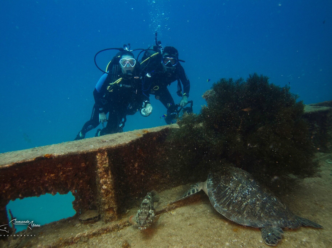 X DIVE MX-拉巴斯必去景点