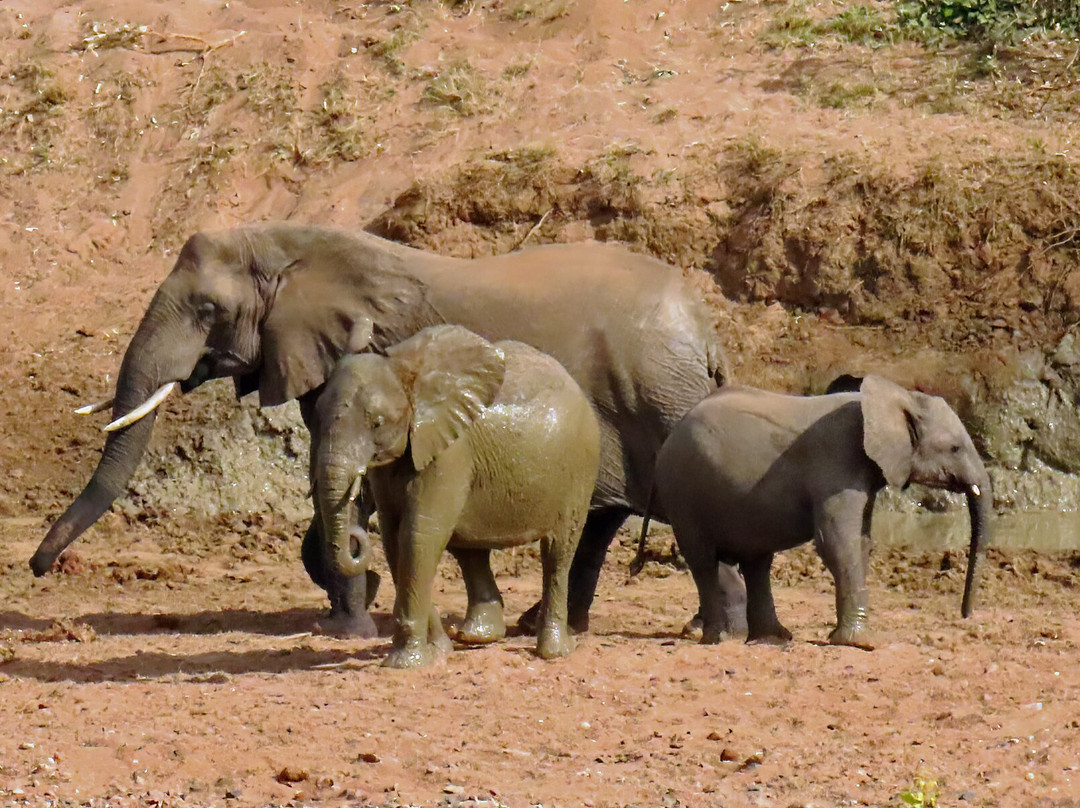 Bearded Heron Safaris-司库库札必去景点