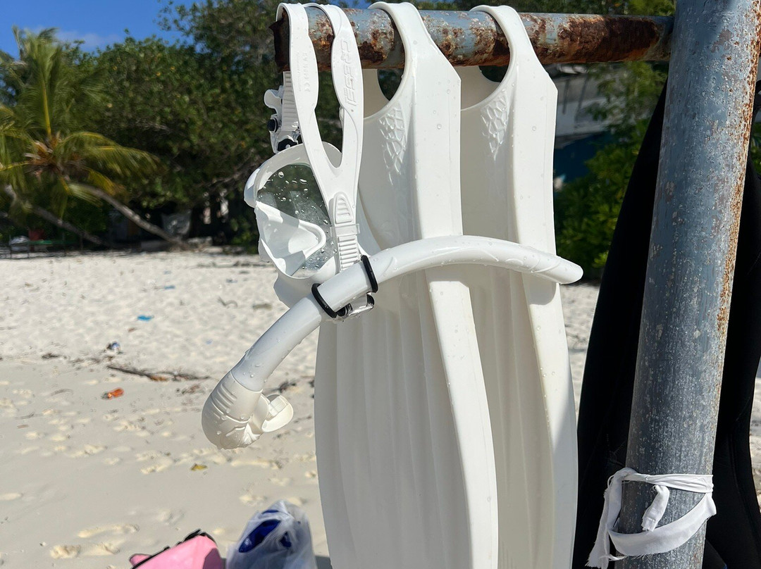 Blue Water Freediving School-伦敦必去景点