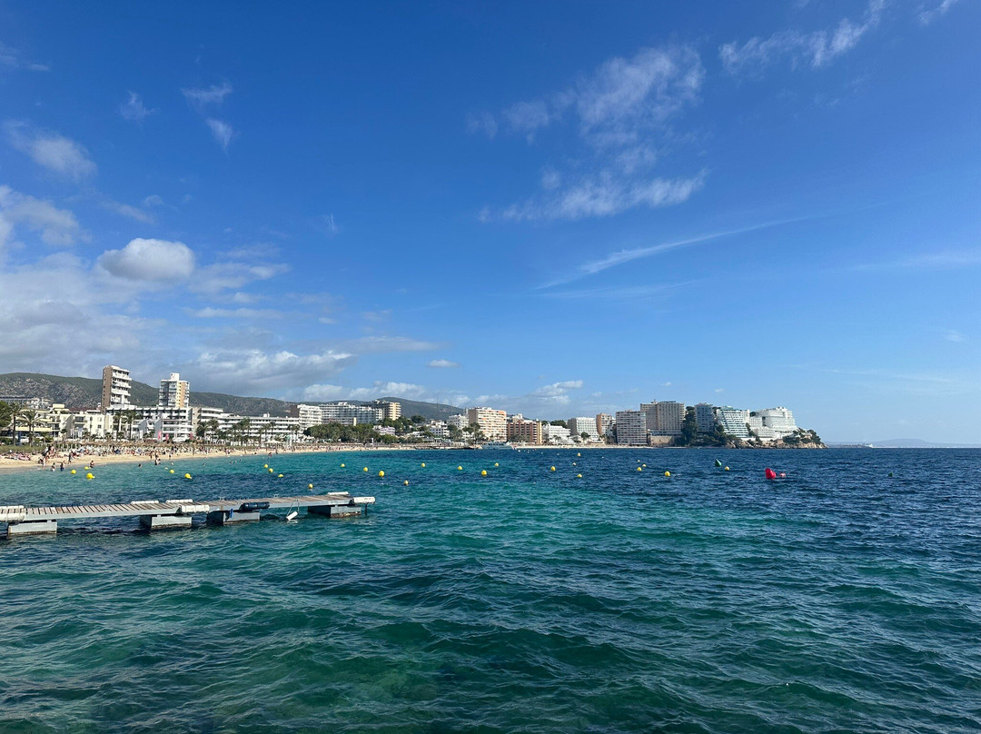 Inn Mallorca Aparthotel主图