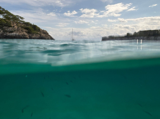 Starfish Glass Bottom Boats-Portocolom必去景点