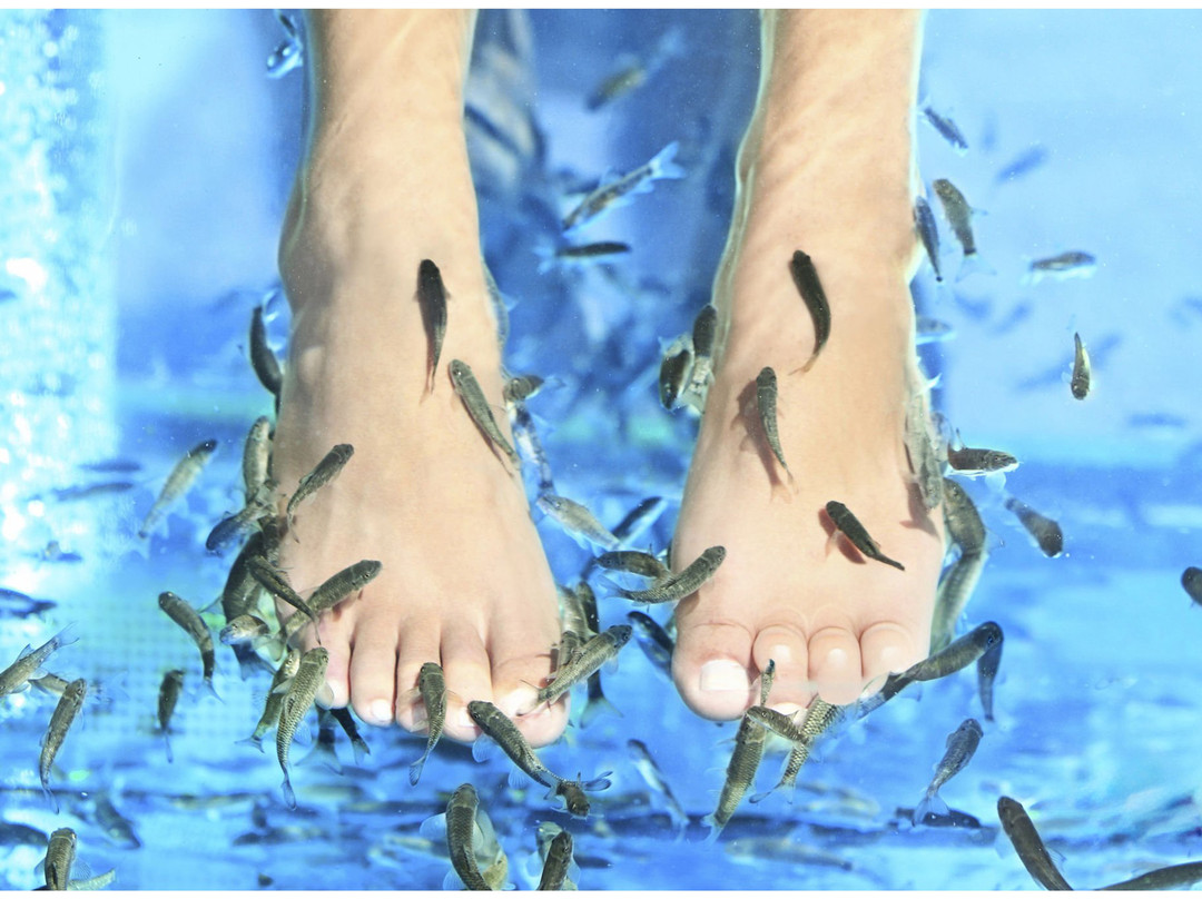 Efe Termal Otel Spa主图