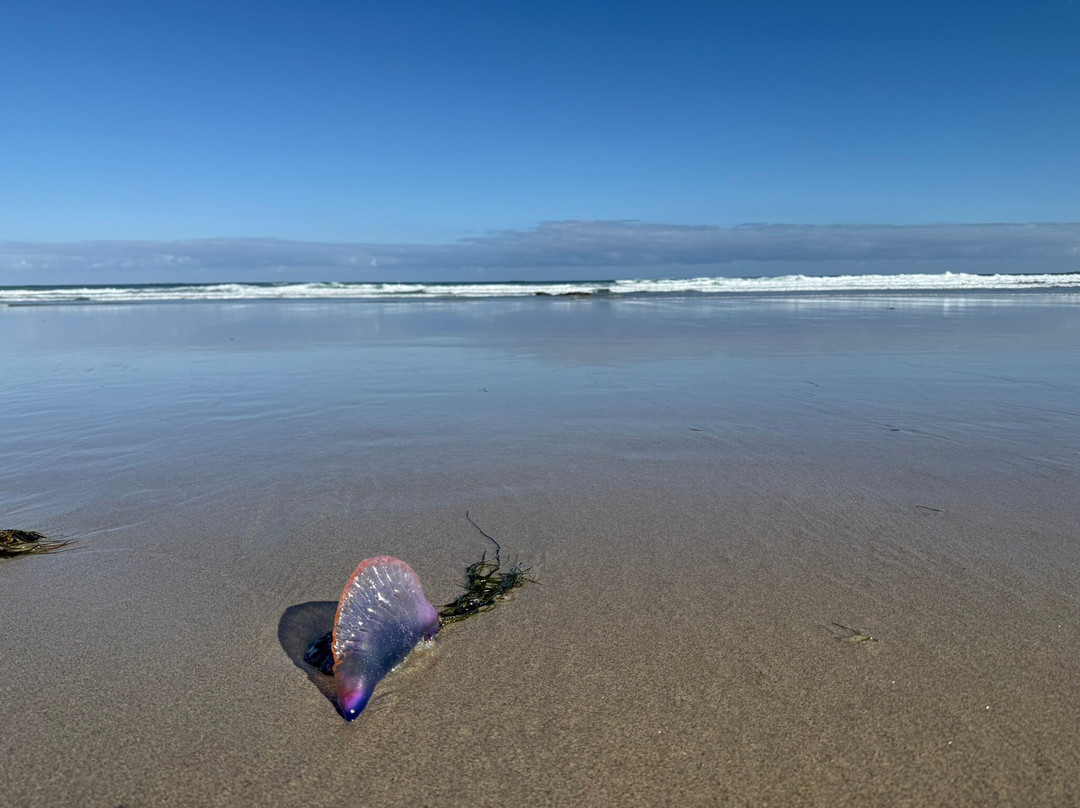 Praia Das Illas-Ribadeo必去景点