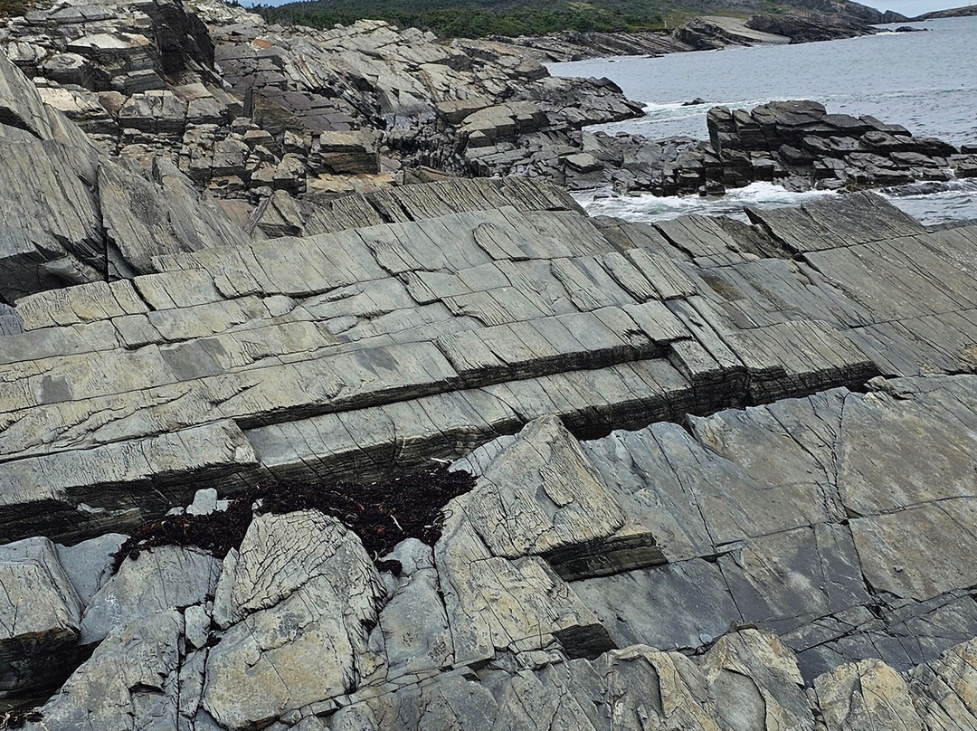 Murphy's Cove Lodge's Pond Trail-Port Union必去景点