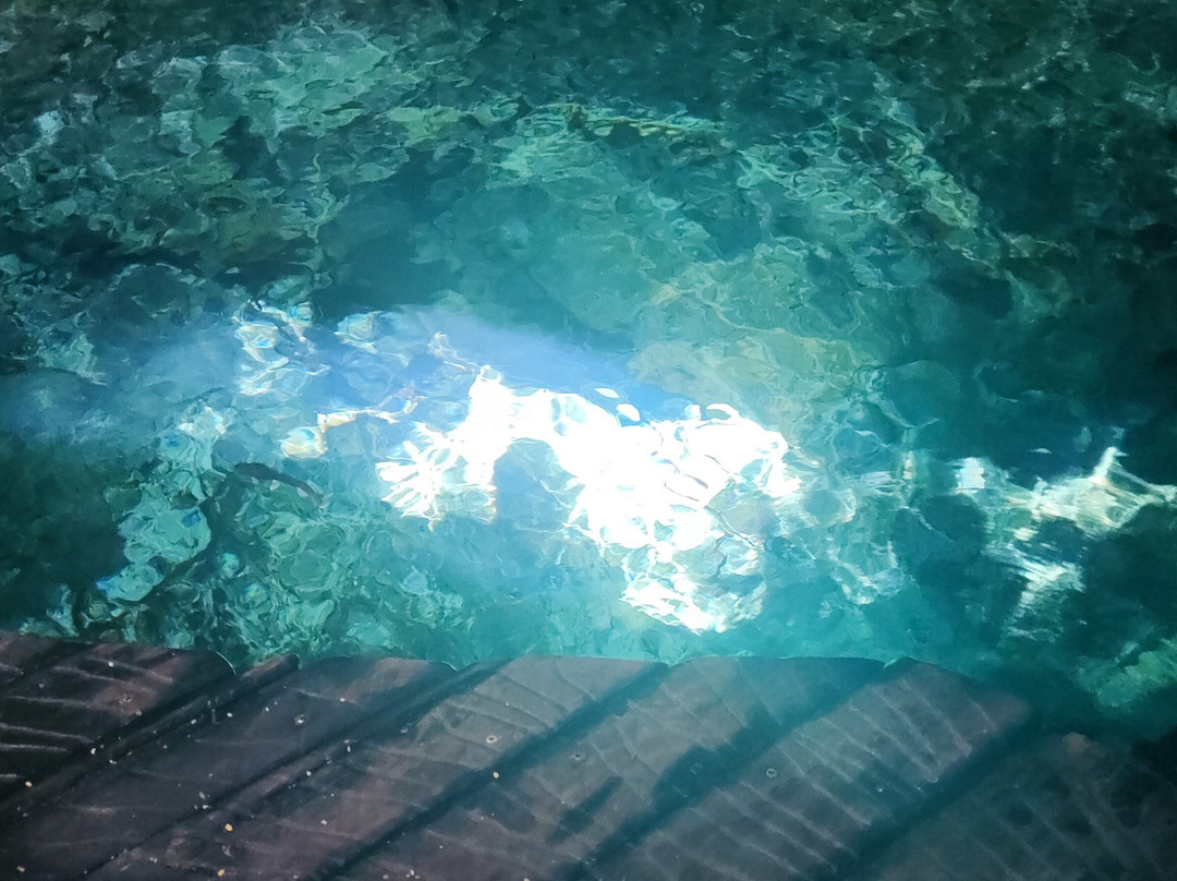 Cenote Aktun Chen-艾库玛尔必去景点