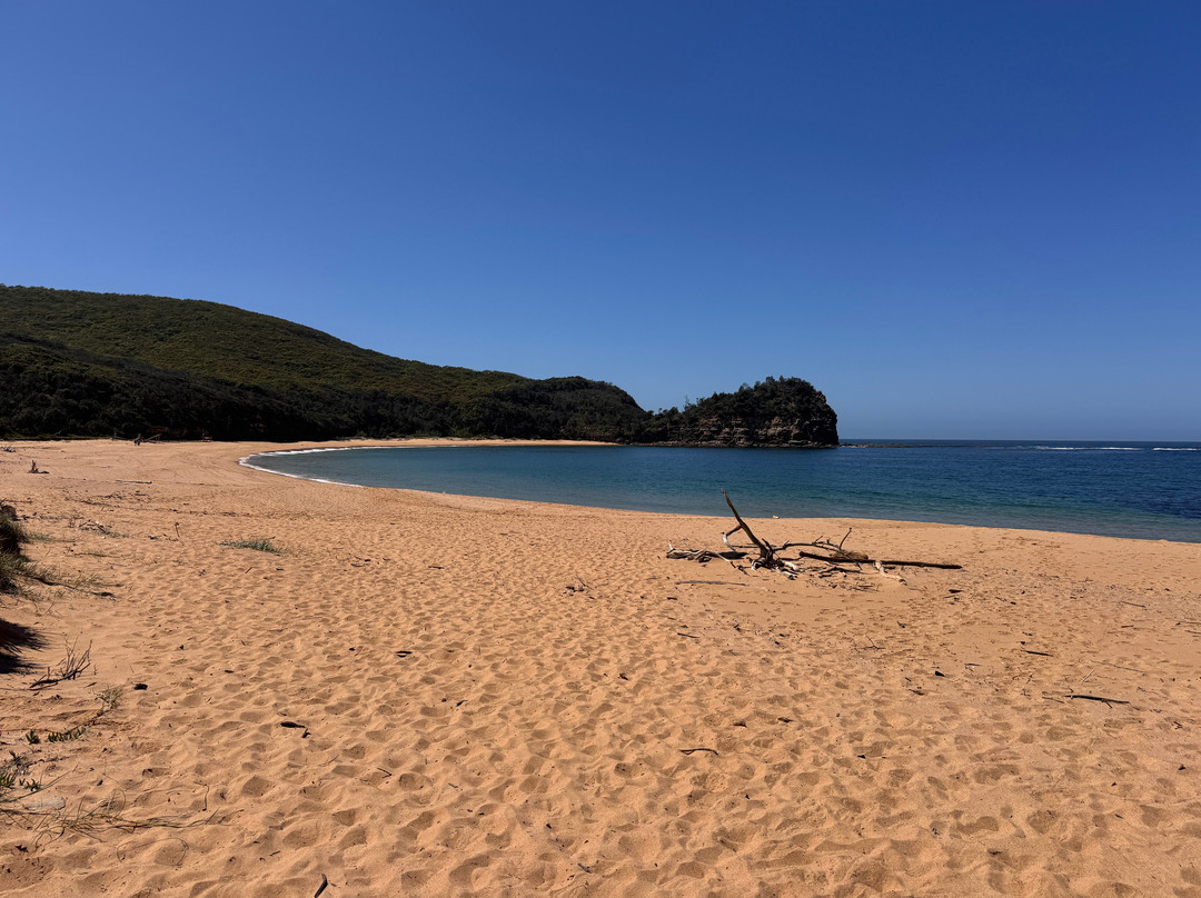 Bouddi National Park-Killcare必去景点