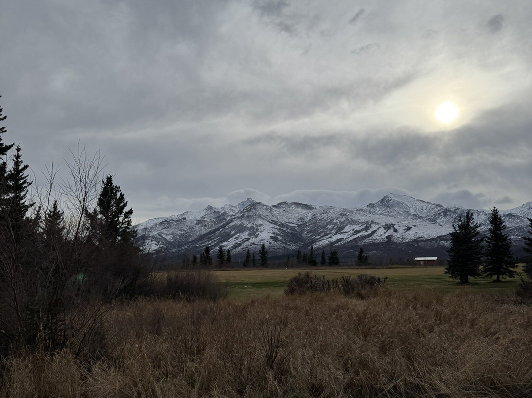 Black Diamond ATV Tours-德纳利国家公园和自然保护区必去景点