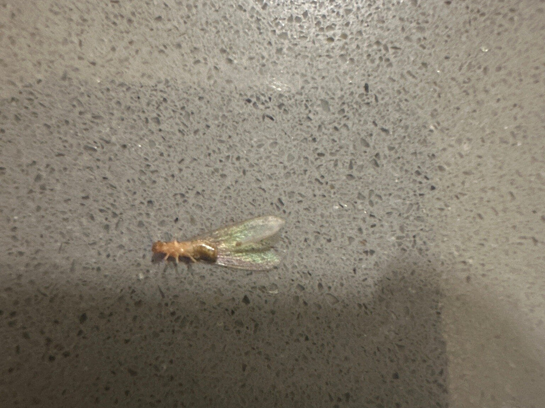 Waterside Suites & Marina主图