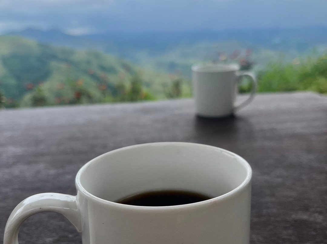 RotyPeaks Ridge Camp-Impasug-ong必去景点