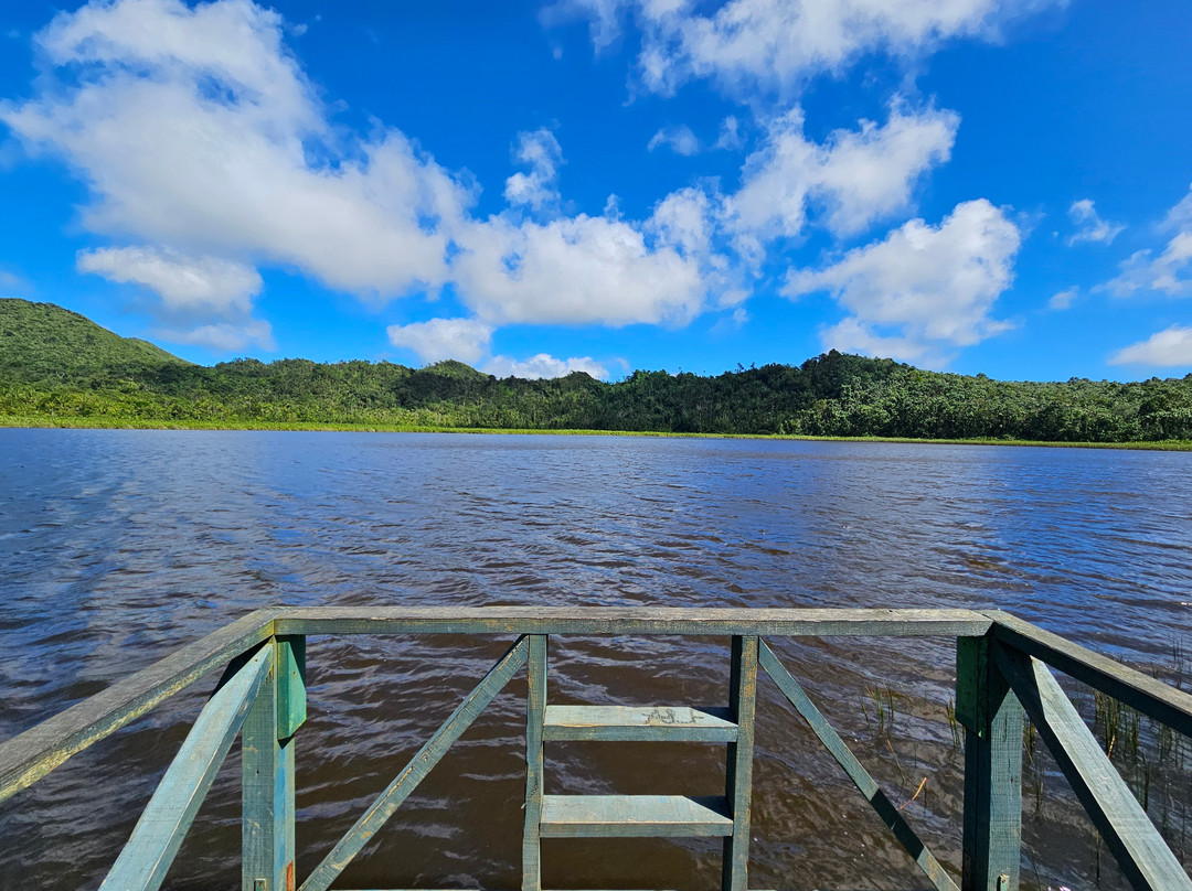 Grand Etang Lake-Grand Etang National Park必去景点