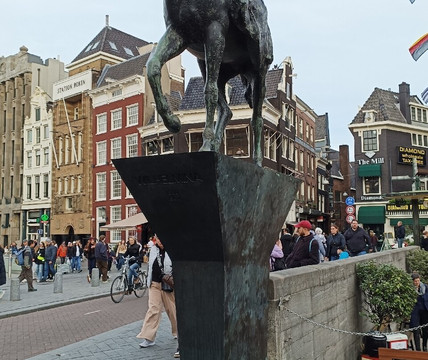 Rokin-阿姆斯特丹必去景点