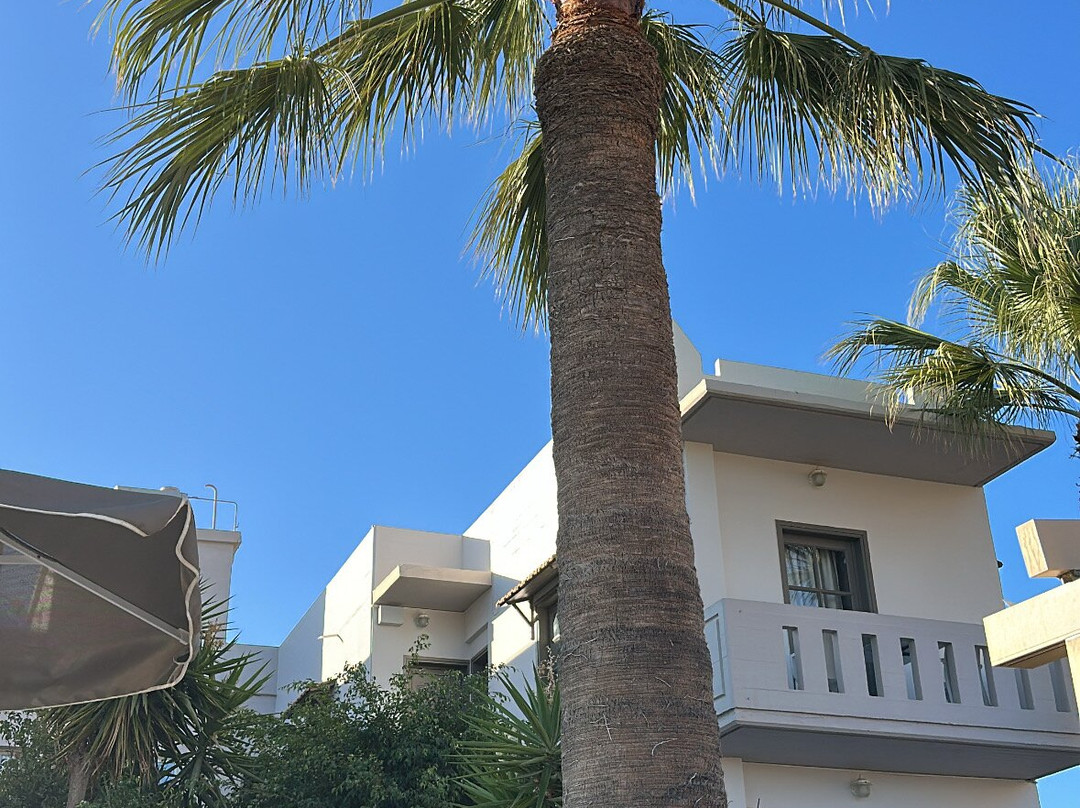 Cathrin Suites主图