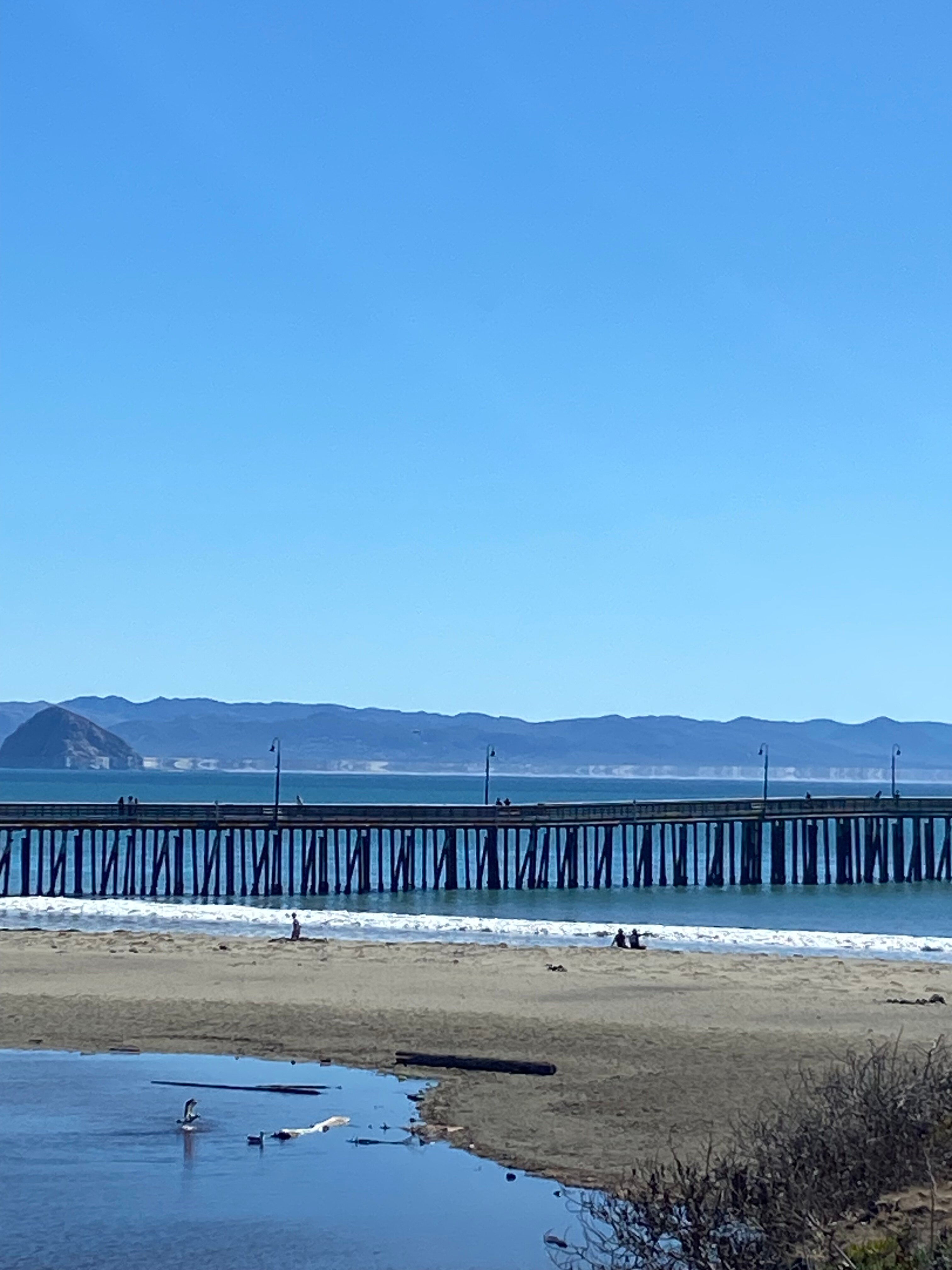 卡尤寇斯海滩酒店-官方