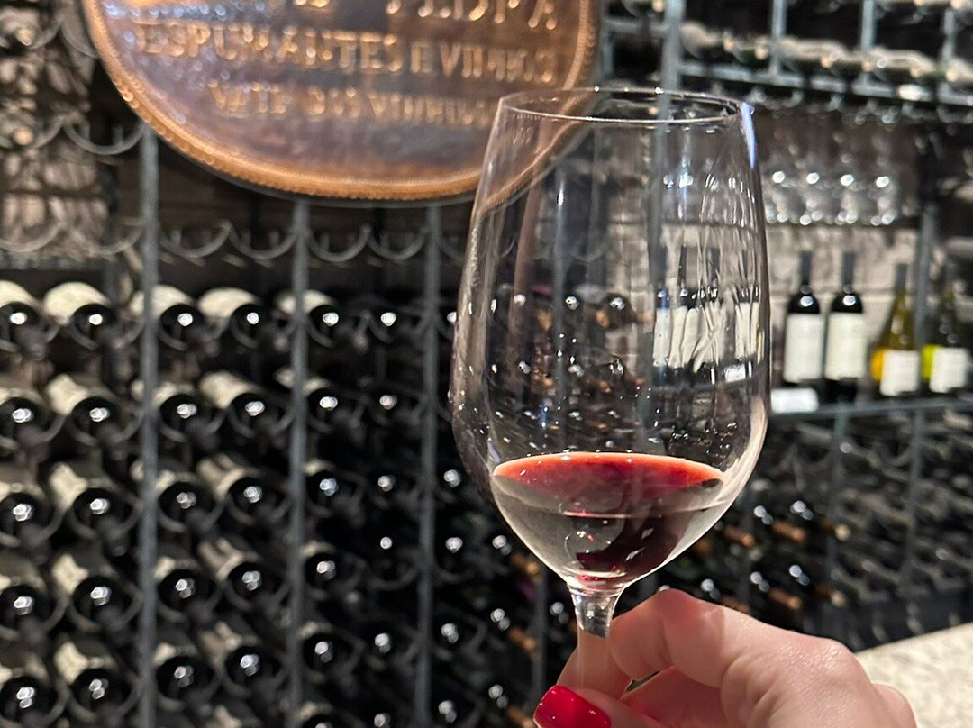 Vinícola Cave De Pedra-本图贡萨尔维斯必去景点