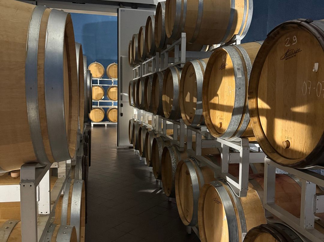 Sassaia Winery-Capriata d'Orba必去景点