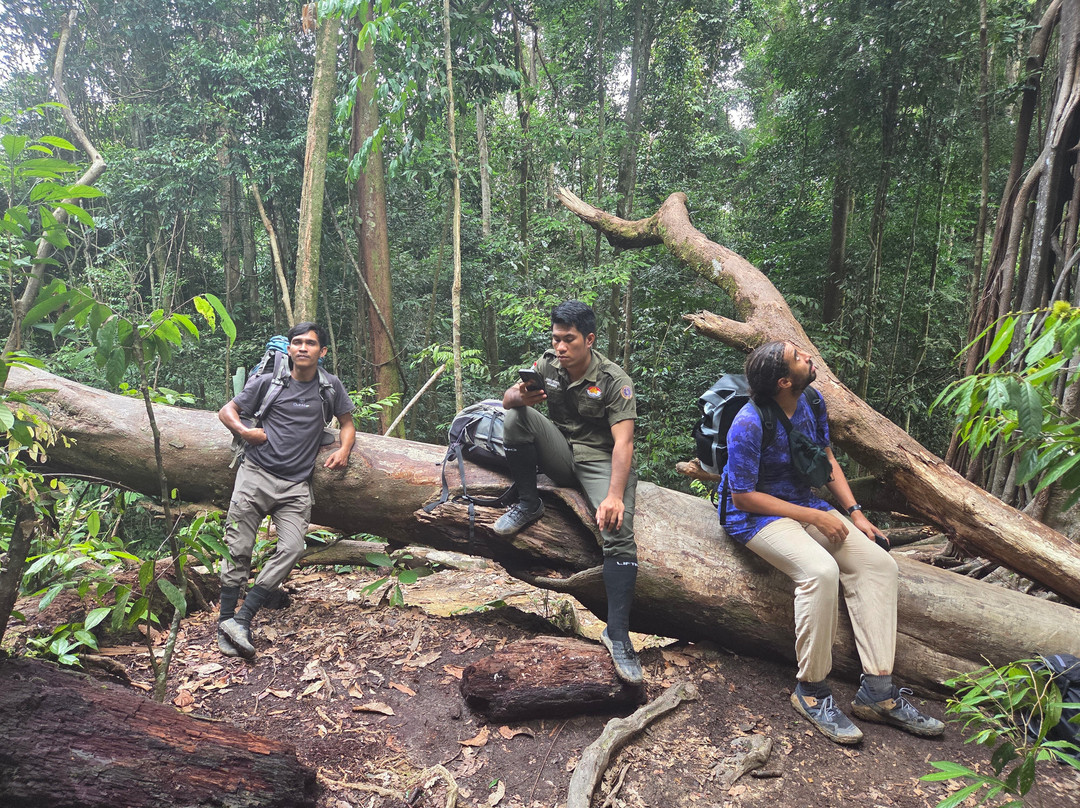 Sumatra Jungle Trekking-武吉拉旺必去景点