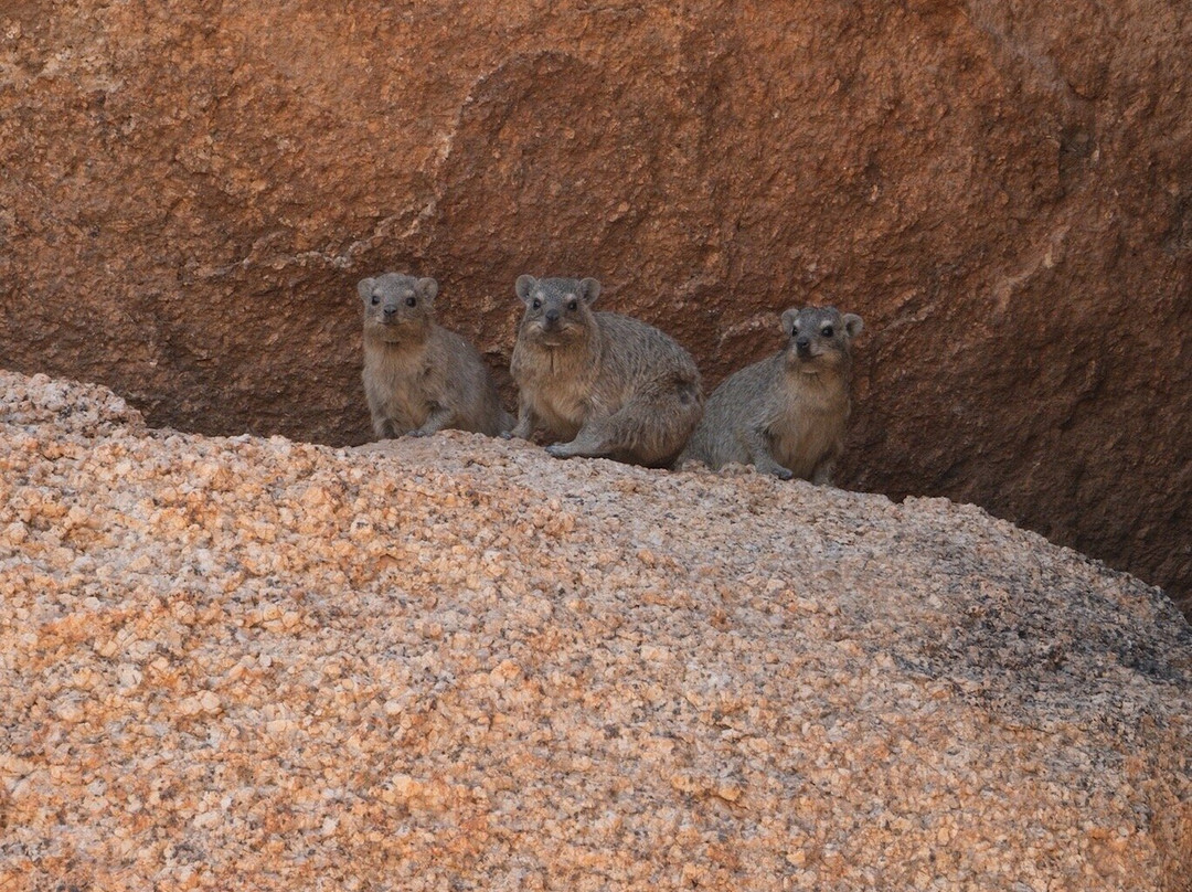 Desert Scenic Tours-斯瓦科普蒙德必去景点